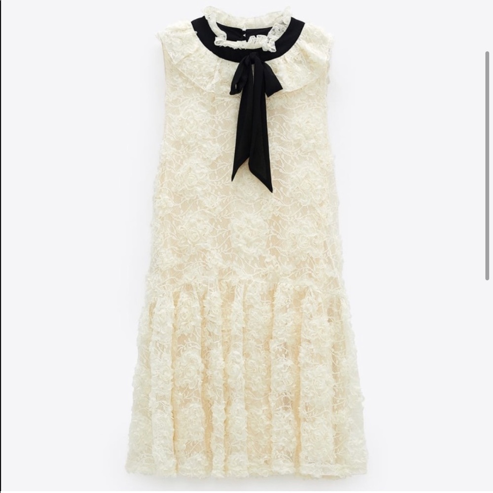 Zara sleeveless ruffled lace dress with dropped waist & contrasting necktie NWT